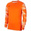 Nike Maillot De Gardien Park IV GK