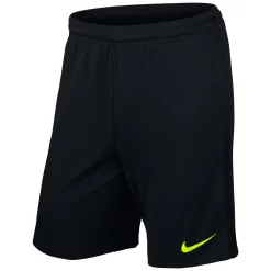 Nike Short League Knit Gardien