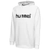 Hummel Sweat à Capuche Cotton Logo HMLGO